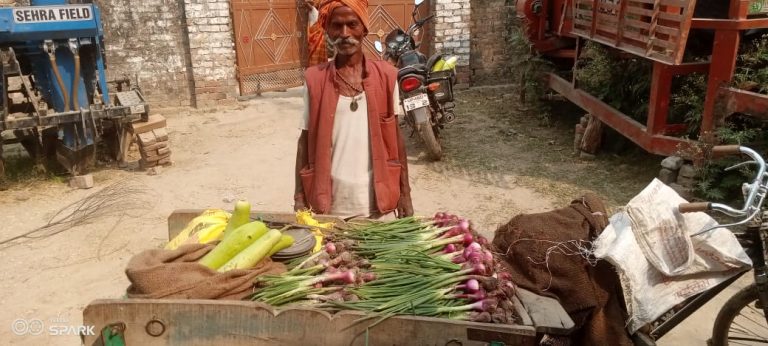 Vegetables cultivation enhanced family income